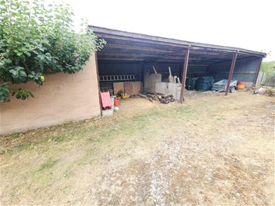 Picture 19